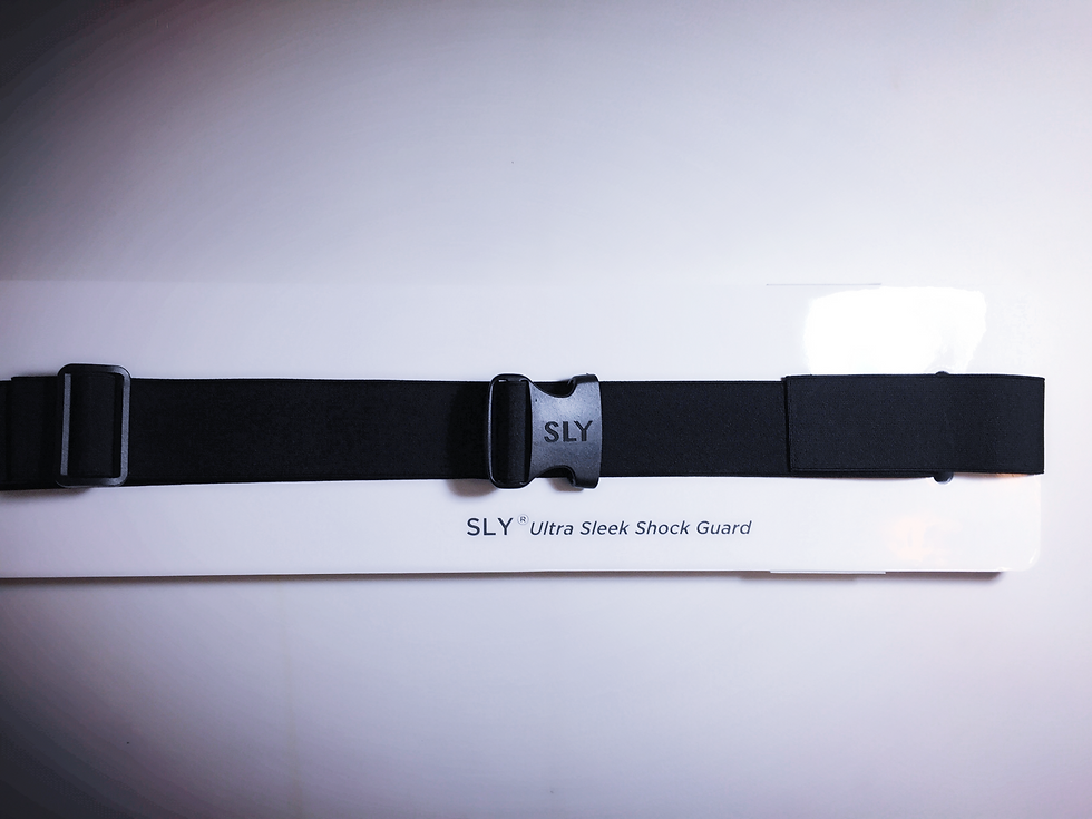 sly, 문콕방지가드