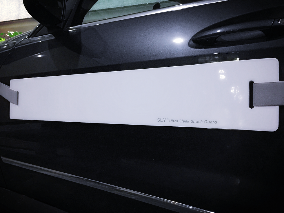 sly, 문콕방지가드