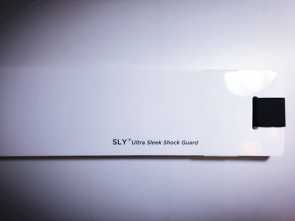 sly, 문콕방지가드