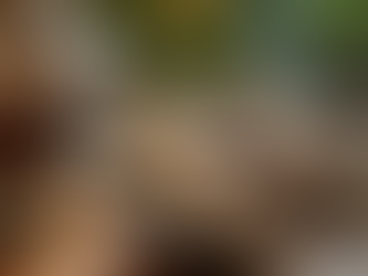 Join Our Tea Tastings for Wellness and Community