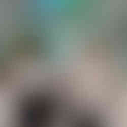 เอเจนซี่ศัลยกรรมเกาหลี