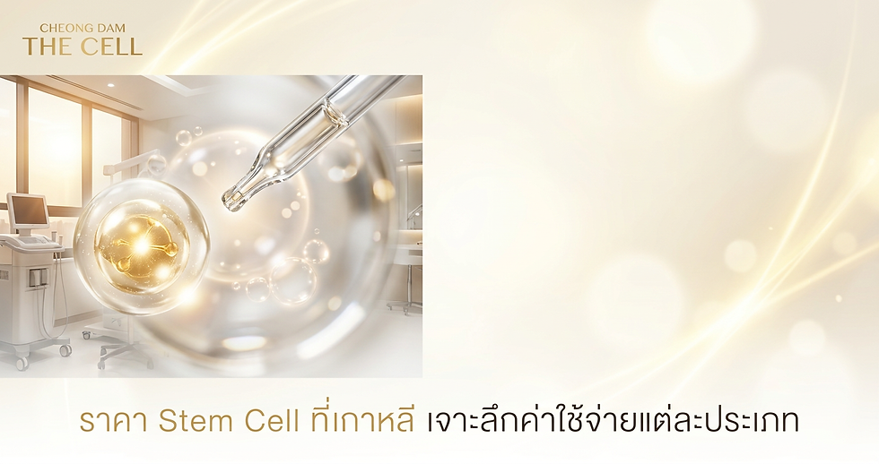 ราคา Stem Cell ที่เกาหลี เจาะลึกค่าใช้จ่ายแต่ละประเภท