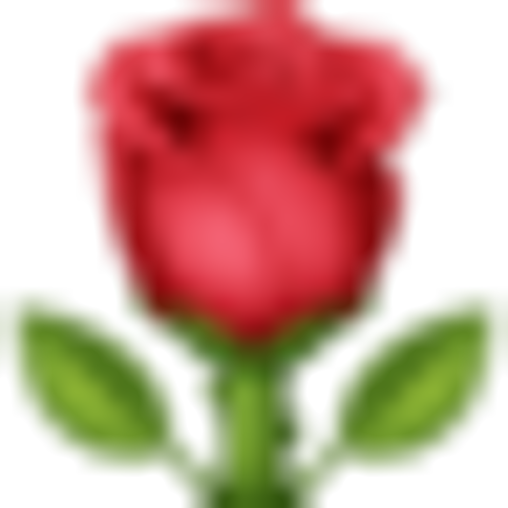 🌹