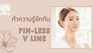 ทำความรู้จักกับ PIN-LESS V LINE
