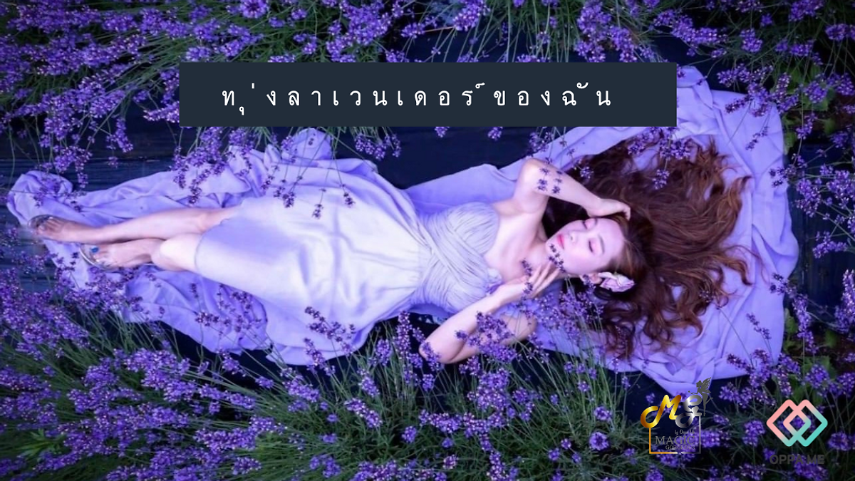 Cover image for Korean entertainment