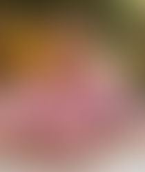 What's New at LMH Optimal Therapy: A Clinic Update