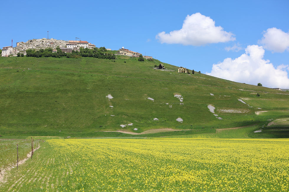Castelluccio di Norcia