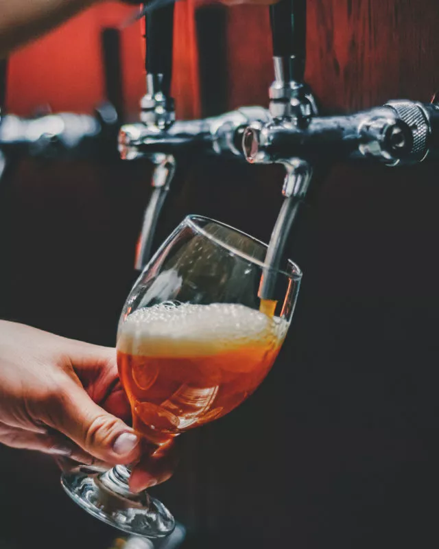 Arranged Food and Objects