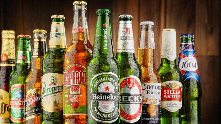 Arranged Food and Objects