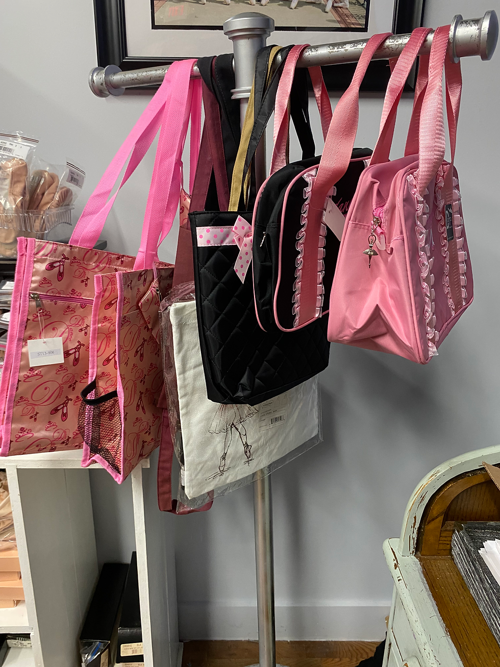 Ballet Bags