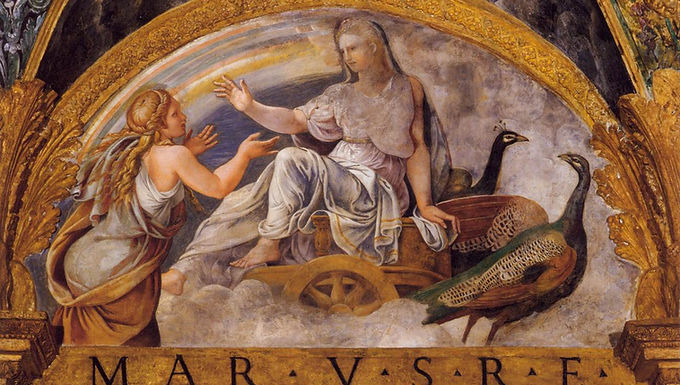 The architect and painter Giulio Romano (1499-1546) created the entire edifice of Palazzo del Te on behalf of Federico Gonzaga, Marquis and later Duke of Mantua. The name Te comes from the word "Tejeto", which was the name of the islet on which it was built in the first half of the 16th century. The name of Palazzo del Te, which still prevails nowadays, was first uttered by Vasari (Palazzo Te English version, 2022). The room this article will focus on is decorated with elements related to the myth of Cupid and Psyche. The myth was associated with Neoplatonism and its allegories were a common feature within artworks. Romano began his artistic creations in a Renaissance environment, but did not reach his peak until the third decade of the 16th century, when he collaborated exclusively with the Duke of Mantua Federico Gonzaga. He worked during the transition from High Renaissance to Mannerism, which is why he beautifully combined classical art with emotional intensity. Being a student and friend of Raphael, his early pieces are associated mainly with this great painter, with whom he completed the loggia of Eros and Psyche in the Villa Farnesina in Rome. The theme of this project was quite similar to the one the artist engaged with for the Palazzo del Te. After the death of his teacher in 1520, his reputation grew, with the result that Federico Gonzaga, Marquis of Mantua at the time, tried to hire him as an architect in his service. Therefore, in lasting1524, Romano travelled from Rome to Mantua to work for Gonzaga. An extremely close partnership developed between them, as they proceeded to shape the area. The first project that Romano was commissioned for was the conversion of an area that housed stables for the Gonzaga house into a villa (Vasari & Bull, 1971). The project gradually evolved from a small villa, incorporating the already existing structures, to a decorated and imposing palace. The construction and full decoration of the Palazzo del Te took about a decade. The rooms that exist in the central block of the Palazzo were intended as dining rooms or apartments. The Chamber of Cupid and Psyche is in the northwest corner of the square (Forster & Tuttle, 1971). This room was completed during the first construction phase of the Palazzo del Te, with the frescoes dating from 1526-1528. The creator is Giulio Romano, alongside Benedetto and Mantovano who contributed as his assistants (Vasari & Bull, 1971). This room was designed as a recreational room for the Duke's distinguished guests. The pictorial theme in the Hall of Psyche is related to the eponymous myth of Eros and Psyche. The myth first appeared in Ovid's Metamorphoses and was also recounted in The Golden Asse  written by the philosopher and poet Apuleius in the 2nd century A.D. (Apuleius, 2021). In this work, consisting of 11 books, the protagonist Lucius is on a journey when he comes into contact with various myths. The most familiar to us is the one of Cupid and Psyche, which concerns books 4, 5 and 6. This myth was an inspiration for Romano and the commissioner, Federico Gonzaga. Consequently, it was chosen as the main theme for the Chamber of Psyche. This room is one of the most spectacular in the Palazzo del Tel and usually prompts a sentiment of awe from its visitors. The telling of the myth of Eros and Psyche is mainly depicted on the hall's impressive ceiling, which includes all the events from the beginning to the end. The scenes are defined by a gilded band of stucco that divides the ceiling into a central square, four semi-octagons, eight octagons, twelve sail-like triangles, and below the twelve drums. The technique adopted by the artist is characterized as fresco, a type of wall painting in which the colours are placed on the wet surface of the wall (Vasari & Bull, 1971). The way the artist narrates the myth of Cupid and Psyche creates a need for the viewer to observe the ceiling thoroughly. In general, no particular order is followed (Verheyen, 1972). The narrative starts from the octagons and ends in the centre of the ceiling with a fresco, which comes to be the absolute centre of the room in the way it has been placed in the composition. The labyrinth created through the narrative particular sequence, in addition to Gonzaga's coat of arms, is also symbolic and relates to Neoplatonism, according to art historian Egon Veryehen. According to the myth of Eros and Psyche, Psyche was the third daughter of a wealthy family. People all over the Earth were so mesmerized by her beauty that they neglected the goddess Aphrodite. Consequently, Aphrodite was enraged and decided to take revenge on Psyche. She ordered her son Eros to pierce the girl with an arrow and make her fall in love with the most pitiful man. However, when he witnessed Psyche's beauty, he was instantly dazzled and aimed the arrow at himself. Psyche and her family were worried that she would never be able to find a husband. Indeed, because of her beauty, no man dared to ask her into marriage. Her father received an oracle from a clairvoyant of Apollo, according to which she should go dressed as a bride to the top of a hill, where she would marry not a man, but a hideous serpent-like monster. Psyche followed the instructions and went to a steep hill, from where the wind Zephyr carried her to a forest. There, she found a luxurious palace, where she was served by an invisible staff. At night, as she fell asleep, an invisible lover came into the darkness. It was the god Eros, who, from that moment, kept visiting her on the condition that she would never see his face so that his divine form would not be revealed. One day, Psyche convinced him to let her sisters come to the palace, since they wanted to meet her. When they found themselves in the palace, jealous of all the luxury, they persuaded Psyche to see who her secret lover was. Being tempted, she lit a candle at night, as her husband slept, and witnessed the handsome Eros in her bed. Suddenly the candle dripped on Eros' shoulder, who woke up and lost his temper . Eros returned to Aphrodite, who, infuriated with him, decided to punish her son for falling in love with the woman who had sown the seeds of her discontent. Meanwhile, Psyche travelled far and wide to find Eros, without success. When she met Demetra on one of her travels, she begged her for help, but the goddess refused. Psyche continued to search for Eros, while not even goddess Hera, whom she asked for help, was willing to come in her aid. This constant journey of hers was also the reason why Aphrodite could not find her to punish her. Hermes was thus sent on a quest for Psyche. After Hermes' announcement, Psyche decided to surrender herself. When one of Aphrodite's maids recognized her, she was finally led to the goddess. She was beaten, her clothes were torn, and she was given instructions to sort through an immense number of seeds to prove herself worthy. The ants took pity on her and helped her by sorting all the grains for her. Aphrodite then ordered her to bring a tuft of wool from some golden-haired wild sheep. This time, a reed growing on the river bank helped the desperate girl. Aphrodite was not satisfied that Psyche succeeded in her second feat. Therefore, she ordered her to climb to the top of a mountain and fill a vessel with black water from a spring that came from the river of the Underworld, the Styx. As Psyche climbed the mountain, she was attacked by dragons. At that point, an eagle, who was a friend of Eros, come to her aid and brought the water on her behalf. At that point Aphrodite ordered Psyche to fill a box with the beauty cream used by Hades' wife Persephone as a fourth feat. Psyche descended into the Underworld and met Persephone. The goddess immediately filled the box with the balm and Psyche returned safely from the realm of the dead. However, she could not overcome her curiosity and opened the box. As a result, she fell into a deep sleep. Meanwhile, Eros had recovered from his burn. Filled with lust for Psyche, he escaped from the room his mother had imprisoned him in, found his beloved and helped her carrying out her mission. He then flew up to Zeus to beg him to approve his marriage with Psyche. Zeus agreed to Eros' request and called the gods together to inform them of his decision. He made Psyche immortal and blessed the marriage. Eros and Psyche remained married and had a daughter, Voluptas. In the centre of the ceiling of the Chamber of Cupid and Psyche, Zeus is presented uniting the two spouses, surrounded by all the heroes of the myth. Vasari praised Romano for this fresco, both for his use of light and the perspective he gave to the scene. He pointed out how the artwork manages to trick the eye of the beholder and looks like something real. Undoubtedly, this fresco reveals the artist's ability to manipulate light and perspective in a quite complex composition with many characters (Vasari & Bull, 1971).  In the Chamber of Cupid and Psyche, the composition is more complex and lyrical. In addition, the main subject is often projected into the background, shifting the action elsewhere and creating a sense of confusion. However, although Romano's style is considered more mannerist, the connection with the Renaissance is made through the use of the myth of Eros and Psyche, which has a central place in Neoplatonic philosophy (Hartt, 1950). Apuleius was a Platonist, so his myth acts as an allegorical and moral tale, reaching Neoplatonic philosophy. This philosophy is mainly captured through the narration, with the path of the labyrinth followed by Psyche, which represents the human soul. While she is in an intermediate state in the world of ideas — represented by the octagons — she falls with Eros and the material body. Only through much effort does she manage to reach the top, in the centre of the ceiling, achieving eternal immortality. Such an interpretation is also given by Christianism, with the example of Adam and Eve who were expelled from Paradise. The paradox is that while both Romano and Gonzaga certainly knew this philosophy, the Chamber of Psyche was created with a different kind of allegory in mind. According to the sources, the room, like the entire Palazzo del Te, was dedicated to Isabella Boschetti. She was the daughter of a courtier of the Gonzaga house, with whom he had a secret bond. Their love was forbidden since, as a Marquis, he was forced to marry for political reasons, and Boschetti did not have a high position, so his mother, Isabella of Este, did not approve this relationship. Gonzaga married three times, thanks to which he became Duke of Mantua and acquired additional land. Nevertheless, this element of the life of the customer, Federico Gonzaga, was symbolized through the myth of Eros and Psyche. He was Cupid, Isabella Boschetti was Psyche, while his mother was depicted as Aphrodite, who forbids the two lovers to be together. The happy ending of the myth, depicted in a bucolic landscape, is what the benefactor desired for his own story. The reason why the Chamber of Psyche was created was to be dedicated to his secret desire. After all, his mother was an educated woman who had an excellent collection of artists' works in her Studiolo in Mantua, including mythological and allegorical content, such as Cupid and Psyche. Therefore, it is almost certain that Federico Gonzaga himself could have had access to them or other Neoplatonist ideas. In conclusion, the Chamber of Psyche located in the Palazzo del Te in Mantua is a room capable of enchanting anyone who sees it. Giulio Romano worked closely with his client Federico Gonzaga to create the architecture and the rooms that make it up. At Palazzo del Te, rooms have been created, each with its style, conveying a distinct message according to the intended purpose. The Chamber of Psyche is one of the most special, prominent room, which served as a recreational room for the important guests of the Duke of Mantua. It is a space that exudes eroticism and can preoccupy with its decoration for those who enter and stay in it. The myth of Eros and Psyche was one of the most beloved subjects of Neoplatonism, in terms of its allegories, for this reason, it was known to many people of the upper class. Bibliography: Primary Sources: 
  
 Apuleius. (2021). The Golden Asse . OTB eBook publishing. 
 
 Vasari, G. & Bull, G. (1971). The lives of the artists . Penguin. 
 
 Secondary Sources: 
 
 Erbesato, G. (1987). Guide to Palazzo Te . Edizione Moretti. 
 
 Forster, K. & Tuttle, R. (1971). The Palazzo del Te. Journal Of The Society Of Architectural Historians , 30 (4), 267-293. https://doi.org/10.2307/988701 . 
 
 Hartt, F. (1950). Gonzaga symbols in the Palazzo del Te . New York University. 
 
 Hartt, F. (1958). Giulio Romano . Yale University. 
 
 Palazzo Te English version . Fondazione Palazzo Te. (2022). Retrieved 1 July 2022, from https://www.centropalazzote.it/language/en/palazzo-te-home-english/ . 
 
 Verheyen, E. (1972). Die Malereien in der Sala di Psiche des Palazzo del Te. Jahrbuch Der Berliner Museen , 14, 33. https://doi.org/10.2307/4125695 . 
 Visual Sources: Figure 1: Romano G. (1526-1534). Palazzo del Te. [Architecture]. Retrieved from: https://www.wga.hu/art/g/giulio/1pala_te/view.jpg  Figure 2: Romano G. (1526-1528). Ceiling of Cupid and Psyche Chamber . [Frescoes]. Retrieved from: https://www.wga.hu/art/g/giulio/1pala_te/psyche/5vault.jpg  Figure 3: Romano G. (1526-1528). View of Sala di Psyche (north and west walls) . [Frescoes]. Retrieved from: https://www.wga.hu/art/g/giulio/1pala_te/psyche/0view.jpg  Figure 4: Romano G. (1526-1528). First test of Psyche . [Fresco]. Retrieved from: http://www.culturaitalia.it/opencms/it/contenuti/fotogalleries/Giulio_Romano__il_Complesso_decorativo_di_Palazzo_Te.html?language=it&tematica=Temi&selected=2  Figure 5: Romano G. (1526-1528). Psyche appealing in vain to Juno . [Fresco]. Retrieved from: https://www.wga.hu/art/g/giulio/1pala_te/psyche/3east3.jpg  Figure 6: Romano G. (1526-1528). Wedding of Cupid and Psyche . [Fresco]. Retrieved from: https://www.wga.hu/art/g/giulio/1pala_te/psyche/5vault1.jpg  Figure 7: Romano G. (1526-1528). Second test of Psyche . [Fresco]. Retrieved from: https://lavelletaverda.blogspot.com/2014/12/el-mite-de-cupido-i-psique.html