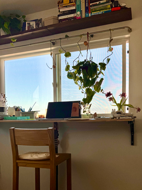 Picture of desk mounted on the wall in front of a window. Plant is hanging and a computer is open.
