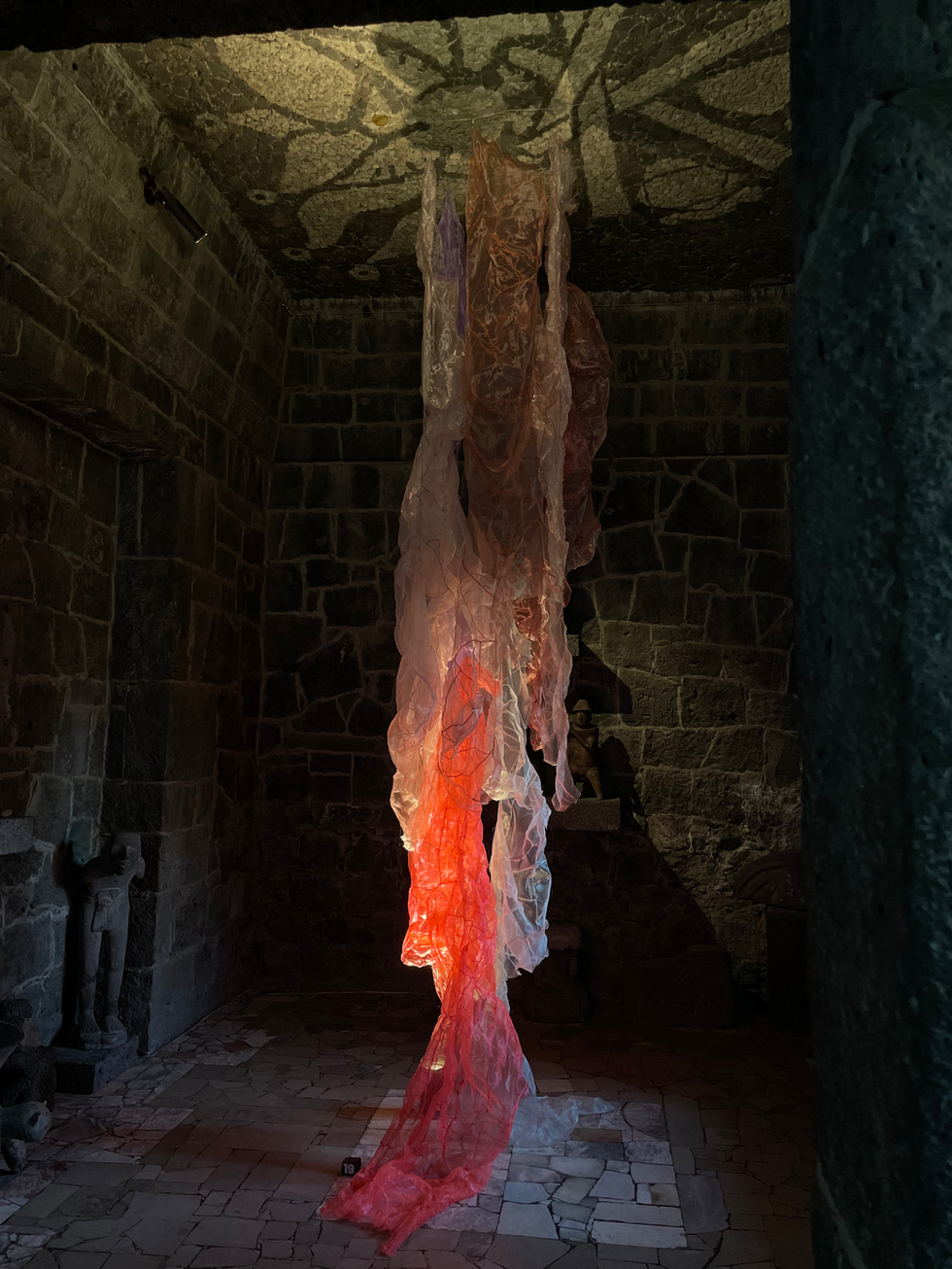 Tracing Bodies | Cuerpos Trazados