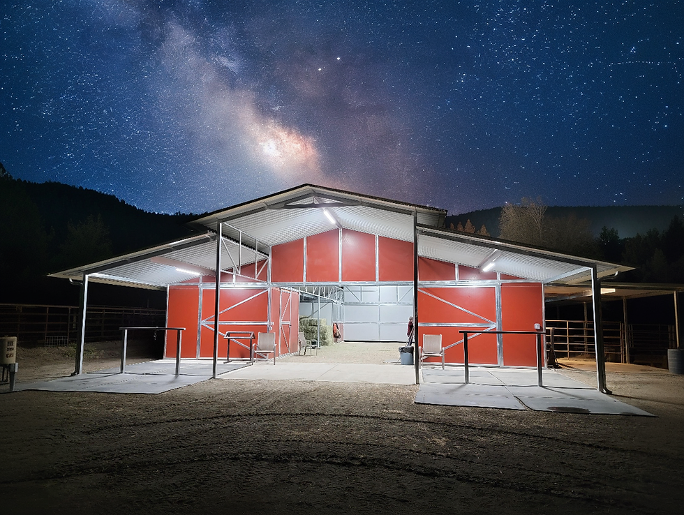 Raised Center Aisle Barn