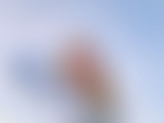 Youth Spotlight: Hannah Litt