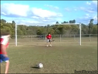 giphy (10).gif