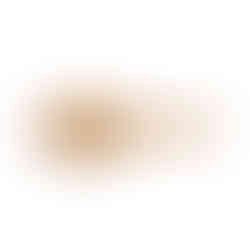 Bass Brushes Style & Detangle Hairbrush Premium Alloy Pin Natural Bamboo Handle Large Oval Striped