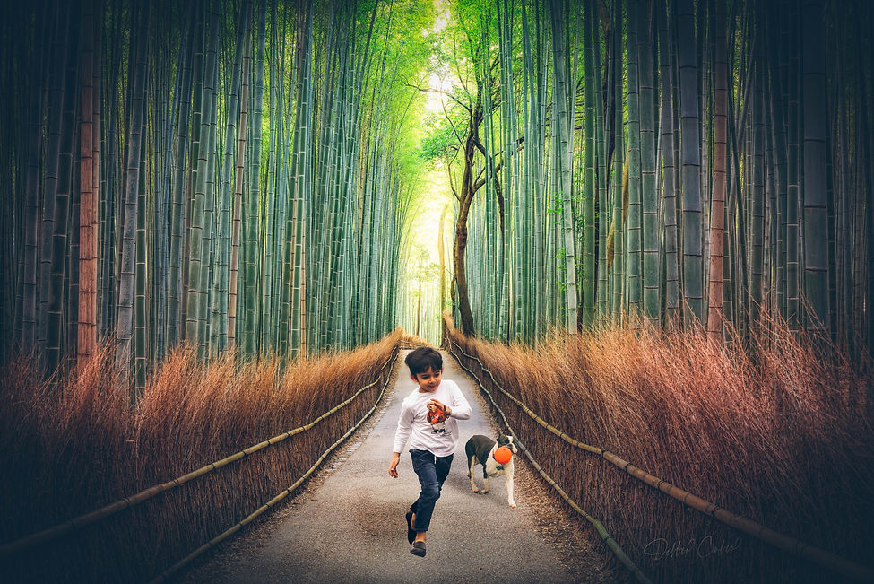 Neha's son with dog.jpg