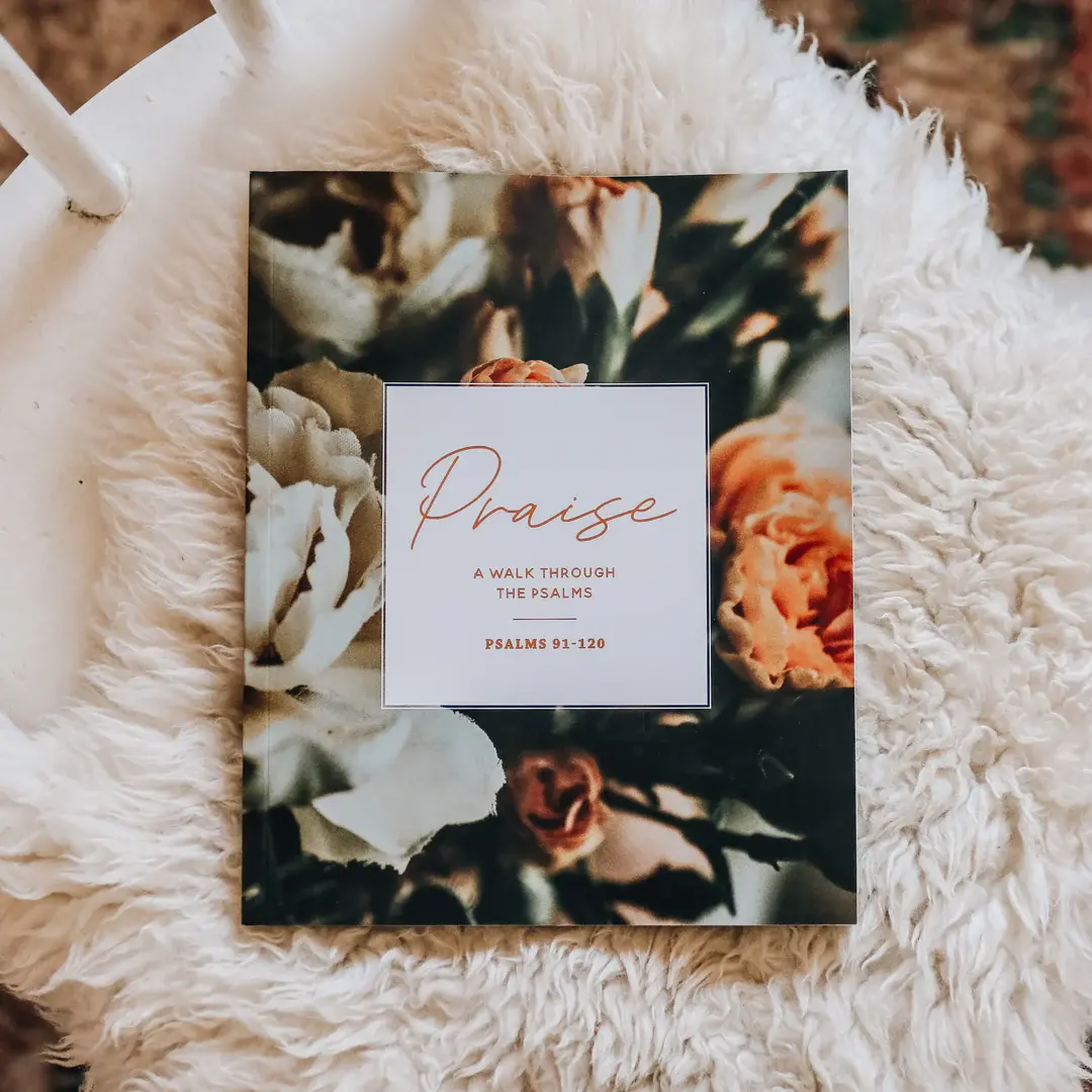 Praise Bible Study | Psalms 91-120