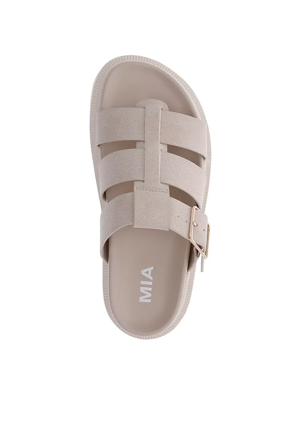 Thumbnail: Geni Seashell