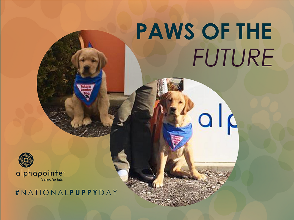 National Puppy Day
