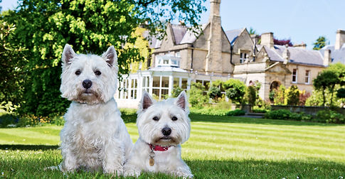 Stancliffe Hall gardens summer Bill & Ben