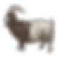Ram