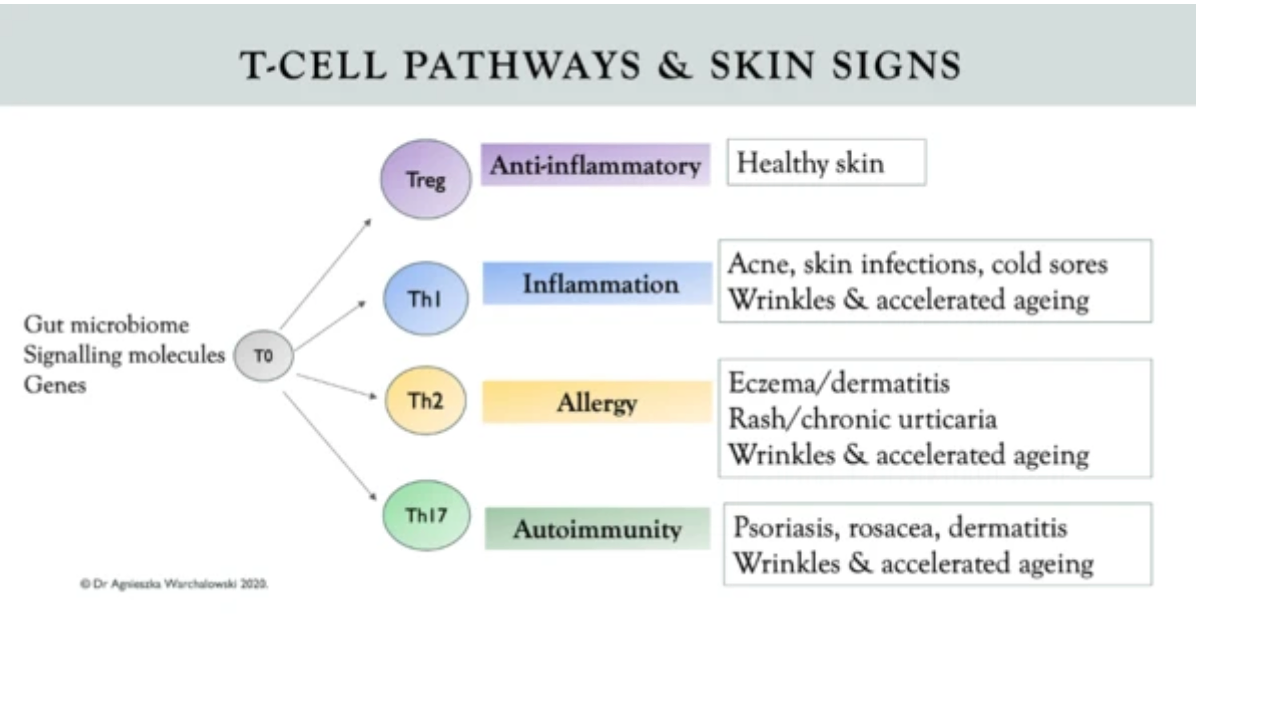 T-Cell Pathways & Skin Signs