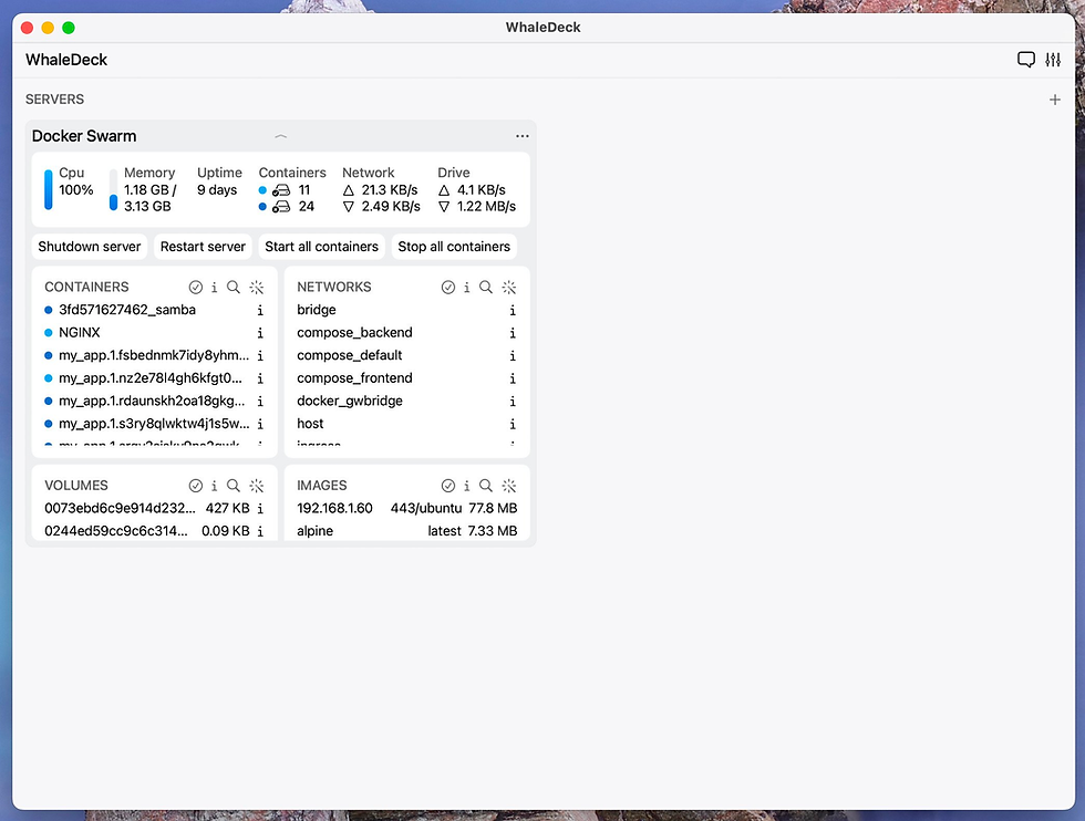 Figure 5: Your containers are now ready to be managed by WhaleDeck.