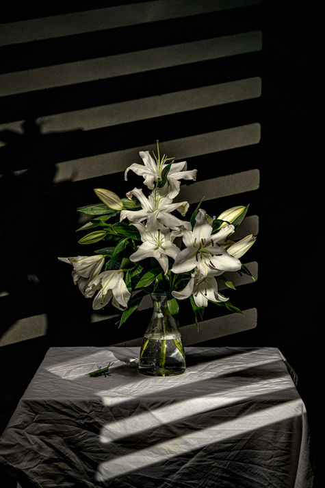 photographer Henrieta Duffner