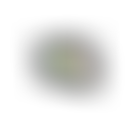 Smiling broccoli and tomato on a plate with fork and knife. Notepad with pencil beside, displaying a checkmark. Playful and cheerful. Representing food logging, Kygo Health, and Oura Ring