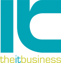 The IT Business