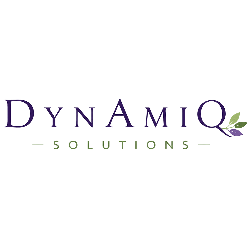 Dynamiq Solutions