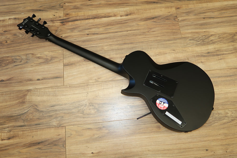 Thumbnail: ESP LTD EC Black Metal Series EC Floyd
