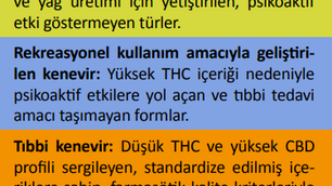 Tıbbi Kenevir Eczanelerde