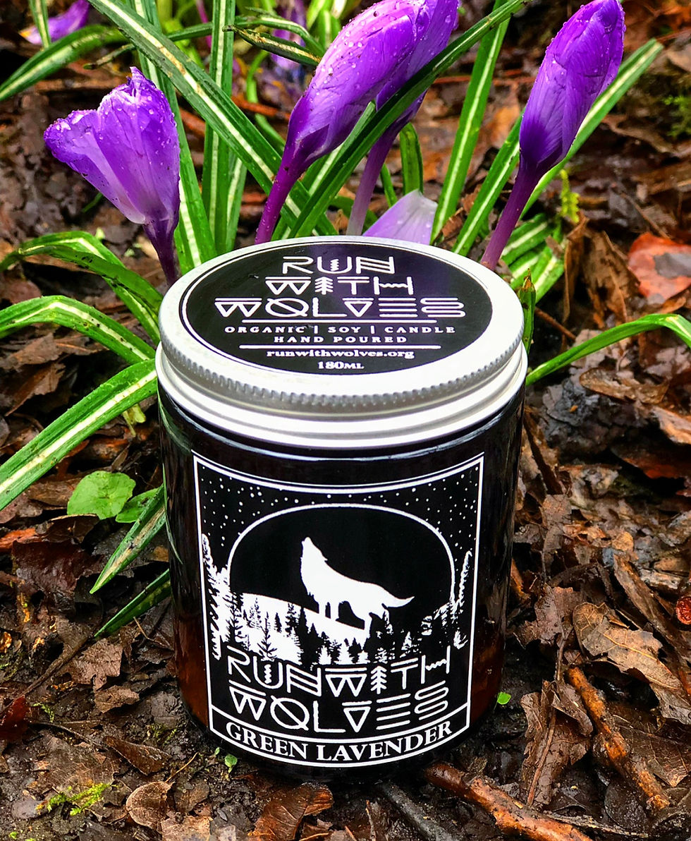 Thumbnail: Gift set of 4 180ml candles