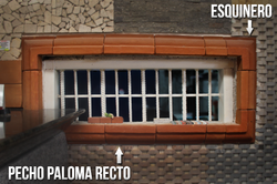 PECHO PALOMA RECTO