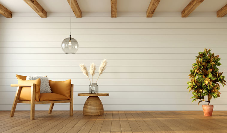 minimalistic-design-living-room-with-armchair-croton-plant-white-wall-3d-rendering.jpg