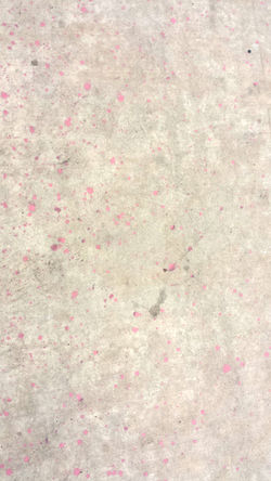 20171101_125015. Ground with Pink Paint Splatters 