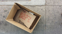 20171101_142909. Two Hungry Dogs