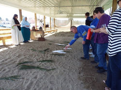 Walk with Jesus 124.JPG