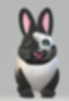 black bunny_edited