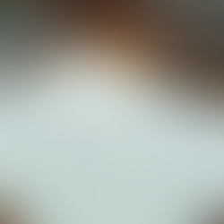 Creating Peace-of-Mind Wills to Safeguard Your Legacy