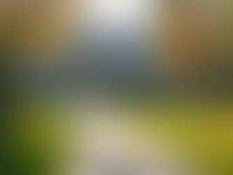 Addiction Recovery Long Island: Comprehensive Resources for Healing