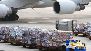 Middle East–Asia corridor volumes rise by 7.8%: IATA