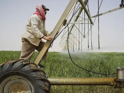 Egypt ferries 750 tonnes of agro produce in river shipment