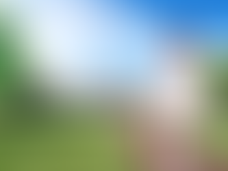 Emirates Airline launches courier express service 