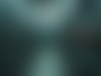 Electrical Contractors in Hawaii: Services and Expertise