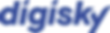 didisky logo