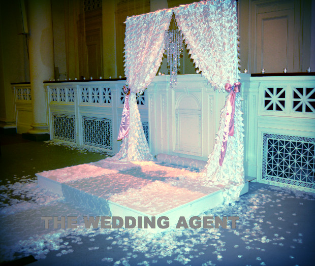backdrop and rose petals
